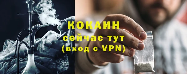 мет Новозыбков