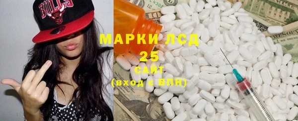 мет Новозыбков