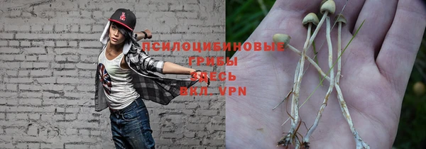 первитин Новодвинск